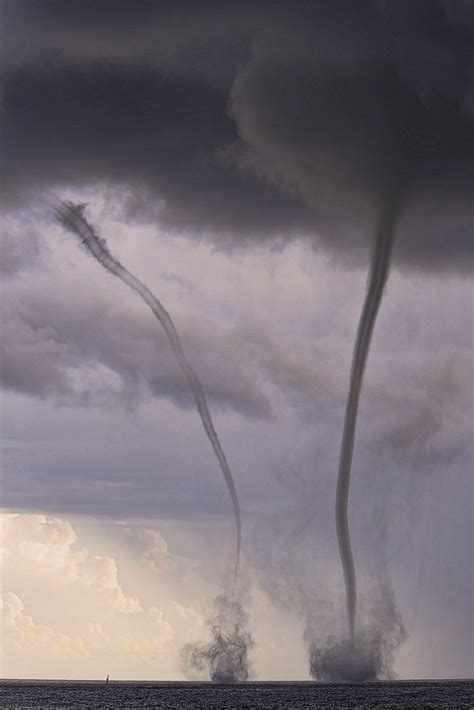 Twisting Twins Last Gasp As A Pair Mutter Natur Naturbilder