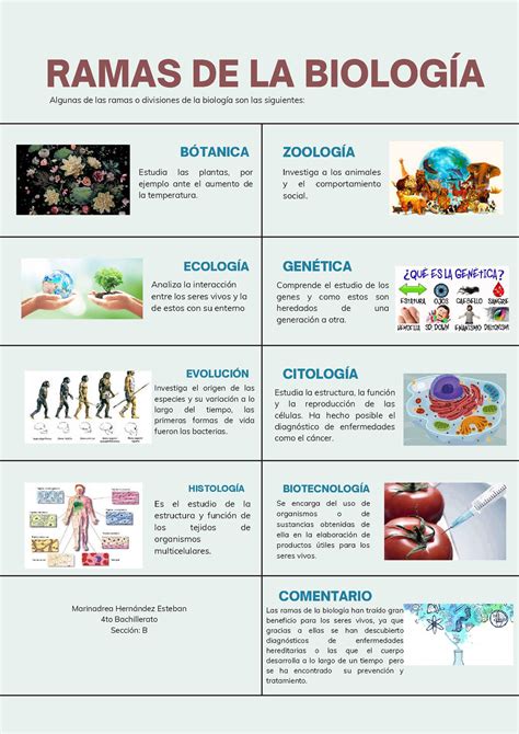 Sala Superioridad Vendedor Imagenes De Las Ramas De La Biologia Subir