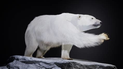 Artstation The Polar Bear Unreal Engine Game Assets