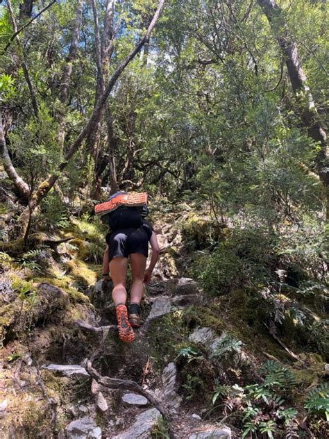 How To Hike Frenchmans Cap In The Tasmanian Wilderness