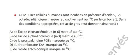 Lipides Ue Biochimie Tutorat Associatif Toulousain