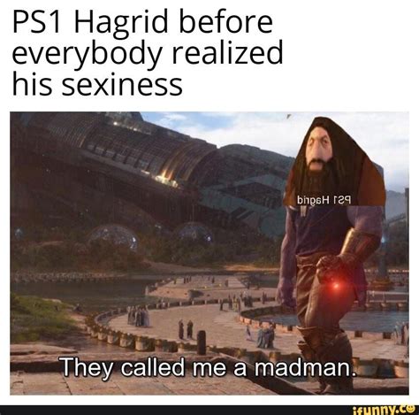 Harry Potter Ps1 Hagrid Trend Meme