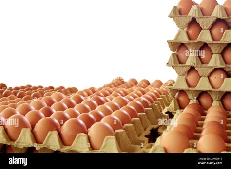 Fresh Eggs In The Egg Factory Egg Factory Industry Stock Photo Alamy