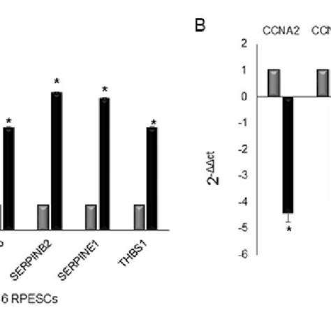 Senescence Associated Gene Expression Profile In Senescent And Young