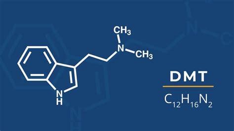 Medical Benefits of DMT | Buy DMT Online by Jank Lea - Issuu