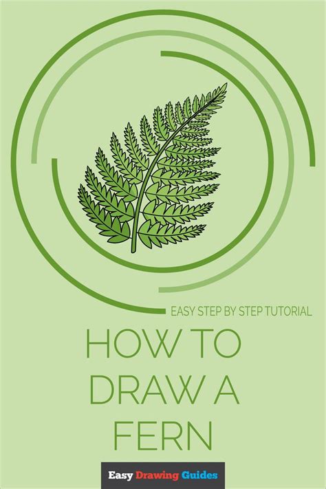 How To Draw A Fern Really Easy Drawing Tutorial Drawing Tutorial