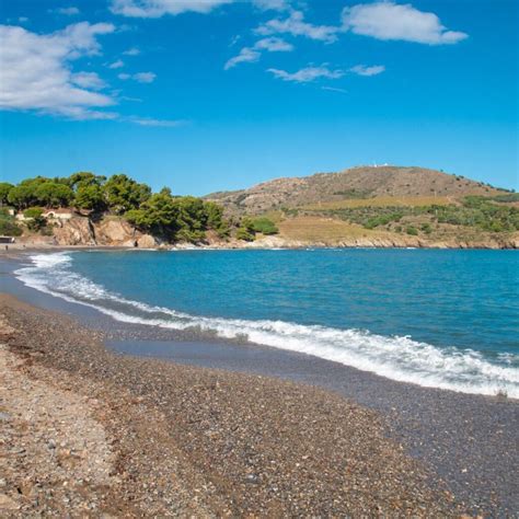 Quelles Activités Faire à Argelès Sur Mer Camping Taxo