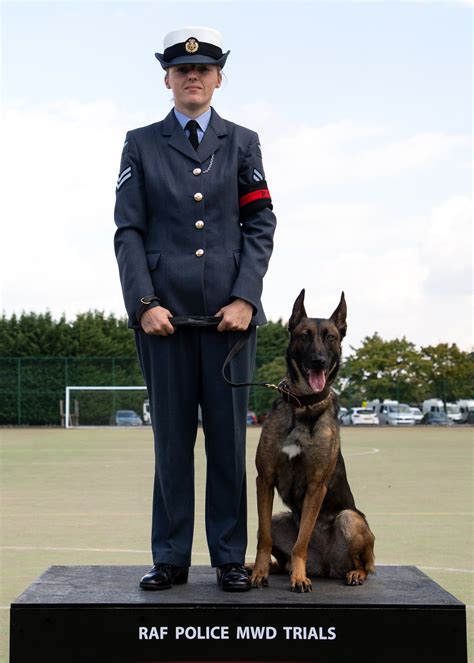 2021 RAF Police Military Working Dog Trial's winners | Royal Air Force