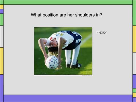 Ppt A Review Of The Shoulder Muscles And Their Actions Powerpoint