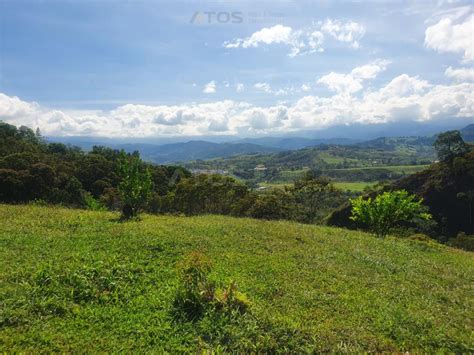 Finca En Venta En Vereda La Laguna Atos Inmobiliaria