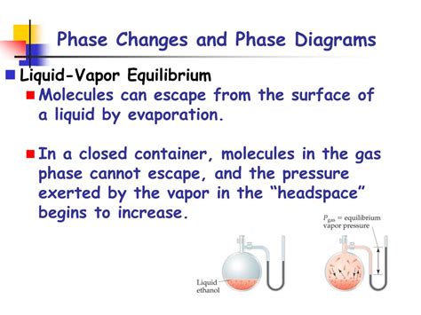 Phase Changes And Phase Diagrams