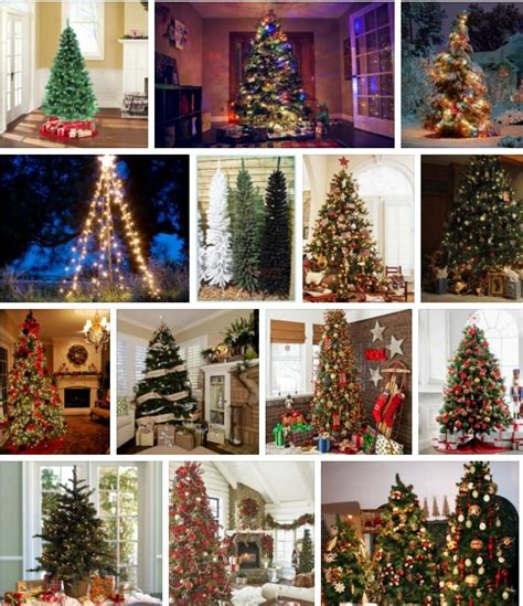 Menards Christmas Trees - Cheapest Christmas Trees **2021 | Tree Types