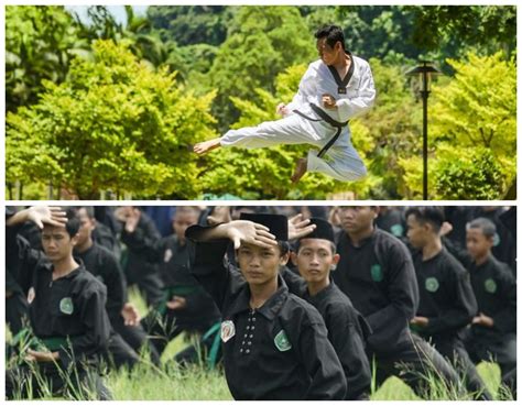 Mengenal 10 Warisan Budaya Seni Bela Diri Khas Indonesia Yang Masih Lestari