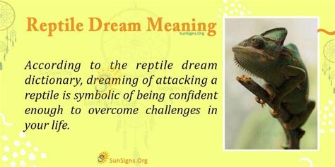 Reptile Dream Symbol - Meaning, Interpretation And Symbolism - SunSigns.Org