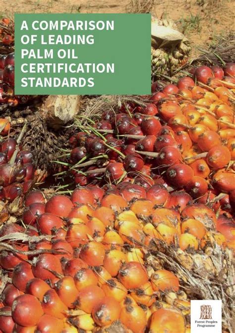 A Comparison of Leading Palm Oil Certification Standards | FPP