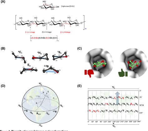 Figure 2 From In Silico Modelling Of The Function Of Disease Related