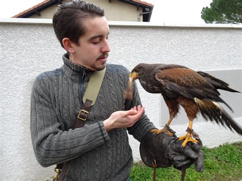 En images. Florian Carfi se lance dans la chasse de Bas vol avec une ...