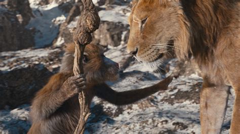 Mufasa Der König der Löwen