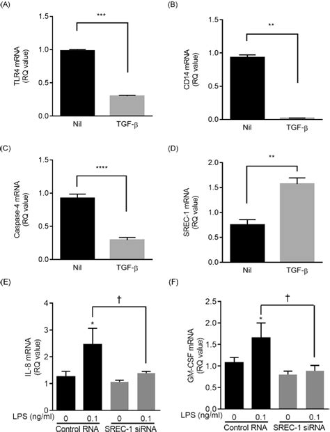 Figure From Epithelial Mesenchymal Transition Of Human Lung