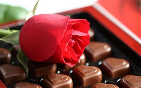 Gourmandise
