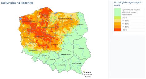 Ruszaj Wnioski Suszowe Aktualno Ci Urz D Gminy W Grodzicznie