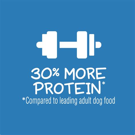 Purina Puppy Chow Wet Canned Puppy Dog Food With Real Beef 55oz