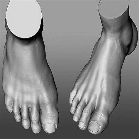 Foot Sculpt Amit Kolay On Artstation At