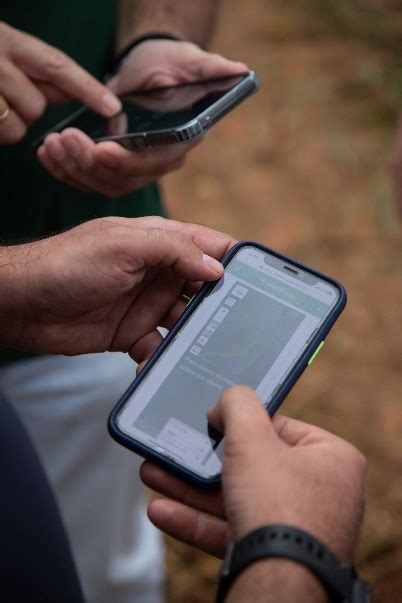 Cultivando Un Futuro Sostenible La Agricultura Regenerativa Como