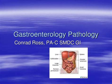 Ppt Gastroenterology Pathology Powerpoint Presentation Free Download