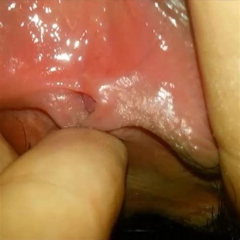First Time Cum Inside Girlfriend Free Porn C Xhamster Xhamster