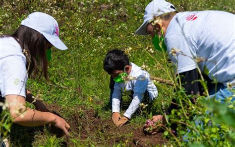 Fundación Grupo México Celebra Su 10ºjornada De Reforestación Mexicanossembrando México