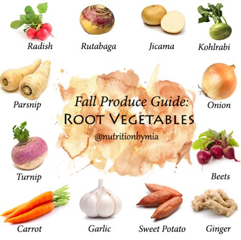 Fall Produce Guide: Root Vegetables - Nutrition By Mia
