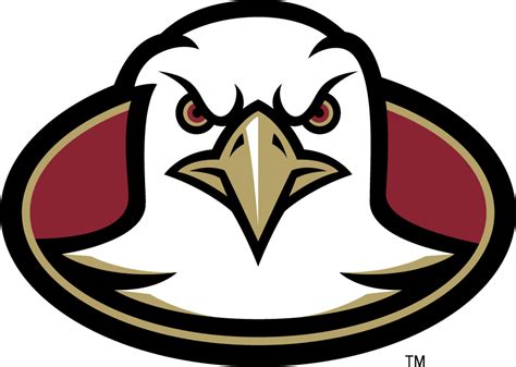 Boston College Eagles Logo Secondary Logo Ncaa Division I A C