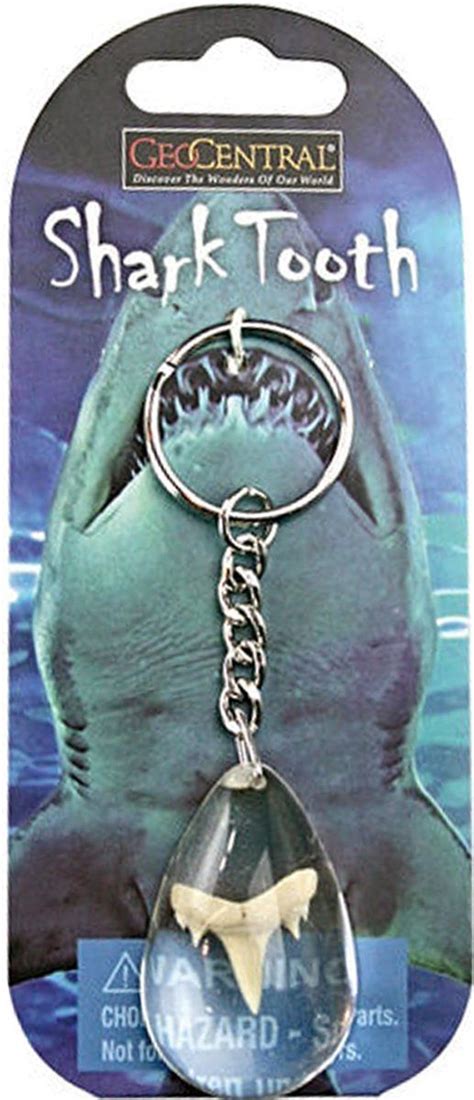 Geocentral Shark Tooth Keychain Teeth Personalized Items Key Rings