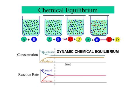 Mastering Chemical Equilibrium For Optimal Reactions