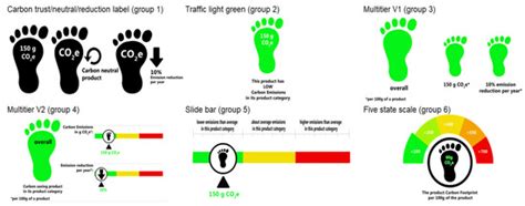 Sustainability Free Full Text Consumer Preferences For Different Designs Of Carbon Footprint