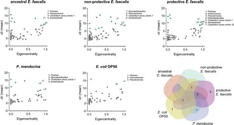 Identification Of Keystone Taxa From Microbial Networks Of C Elegans