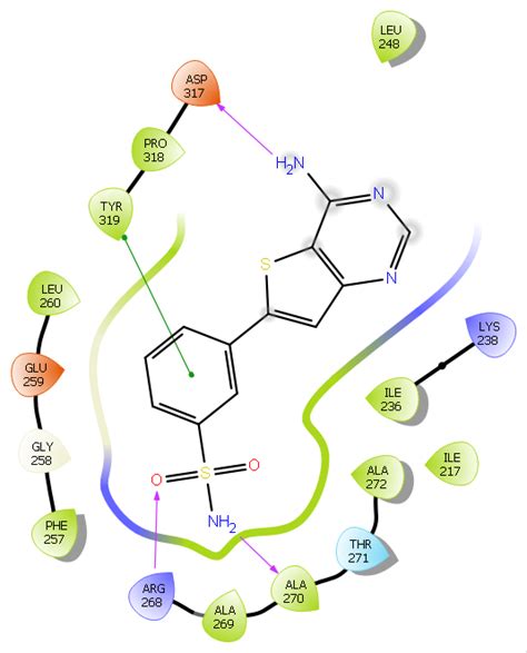 Producing A D Protein Ligand Interaction Map Issue