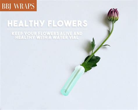 Floral Water Tube for Flower Arrangements, 2.8 Inch-100 Pcs - BBJ Wraps ...