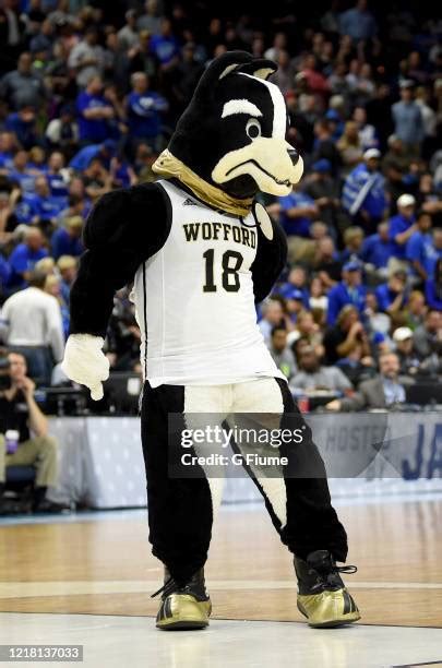 Wofford Mascot Photos and Premium High Res Pictures - Getty Images