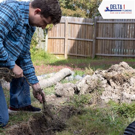 How To Remove Tree Roots From Your Sewer Line Fort Worth