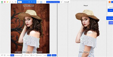 Top 10 Free Online Background Remover Tools Removal AI