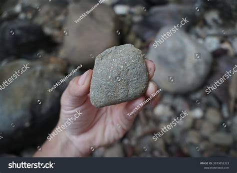 Hand Holding Andesite Extrusive Volcanic Rock Stock Photo