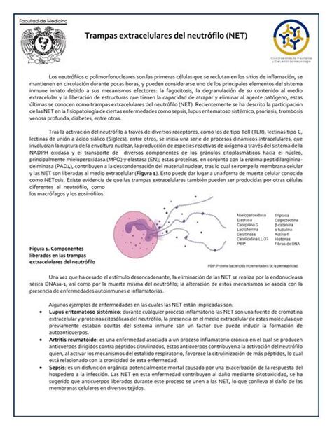 Trampas Extracelulares Del NeutroIfilo IOVANNY CRUZ OJEDA UDocz