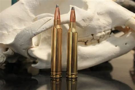 11 Best Deer Hunting Calibers