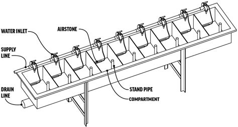 Assessing The Toxicity Of Peracetic Acid To Early Atlantic Salmon Salmo