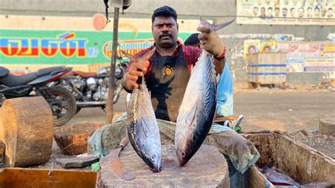 Kasimedu Selvam Yellow Fin Tuna Fish Cutskasimedu Fastest Fishe Cutter