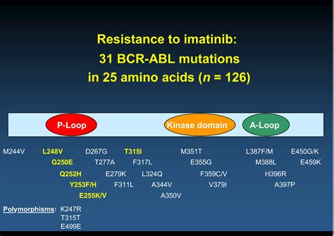 The Use Of Imatinib Resistance Mutation Analysis To Direct Therapy In