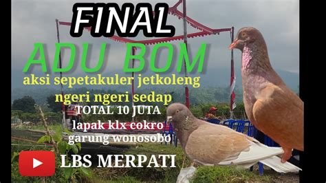 Lomba Merpati Wonosobo Lapak Kl X Cokro Grend Final YouTube