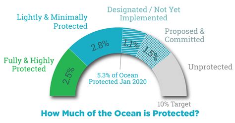 2020 Is Here Will We Meet Global Conservation Targets For Marine